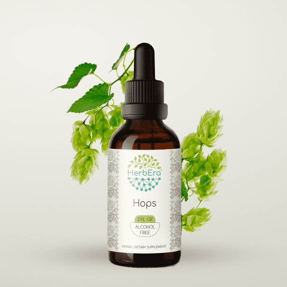 HerbEra Hops Tincture, Herbal Dietary Supplement for Immune Support, Hops (Humulus lupulus) Dried Flower Extract, Natural, Alcohol-Free, Drops 2 oz