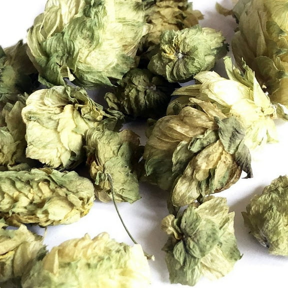 Hops, Cascade, Dried Herb, 1 oz (28 g)