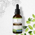 thumbnail image 1 of Hops Tincture Alcohol Extract, Organic Hops (Humulus Lupulus) Dried Flower 2 oz, 1 of 7