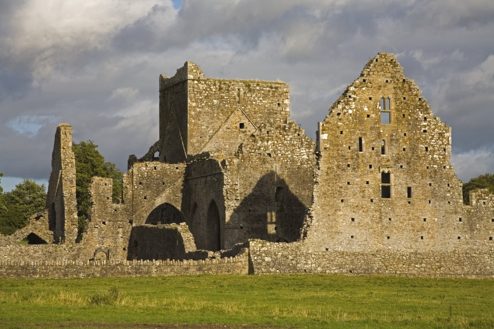 Hore Abbey Cashel County Tipperary Ireland Abbey Ruins In Field Canvas Art - Richard Cummins Design Pics (17 x 11)