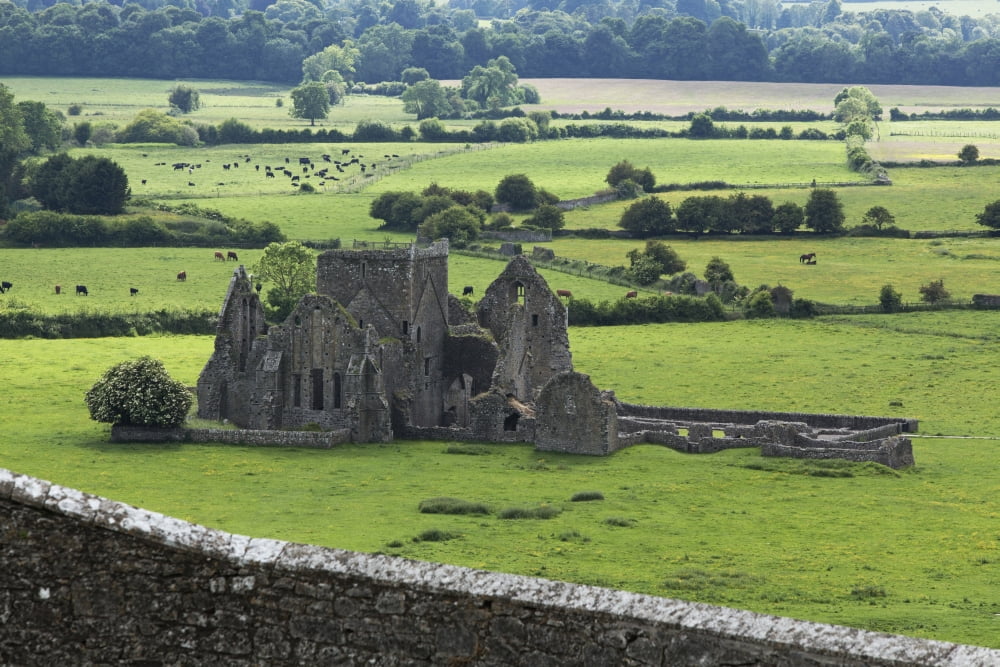 Hore Abbey near Cashel County Tipperary Ireland Canvas Art - Carl Bruemmer Design Pics (19 x 12)