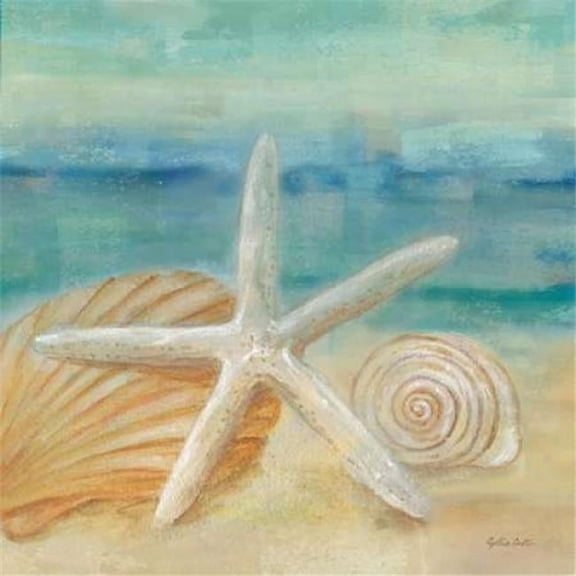Horizon Shells I Poster Print by Cynthia Coulter, 12 x 12 - Small