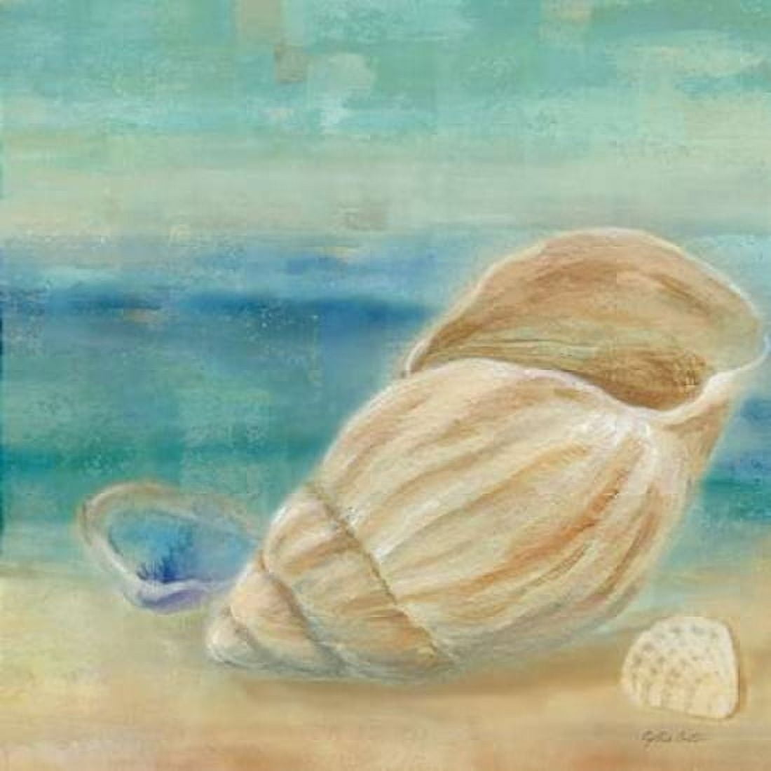 Horizon Shells II Canvas Art - Cynthia Coulter (24 x 24)