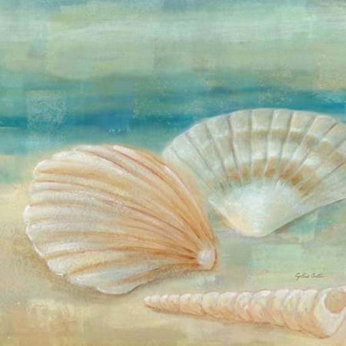 Horizon Shells IV Canvas Art - Cynthia Coulter (24 x 24)