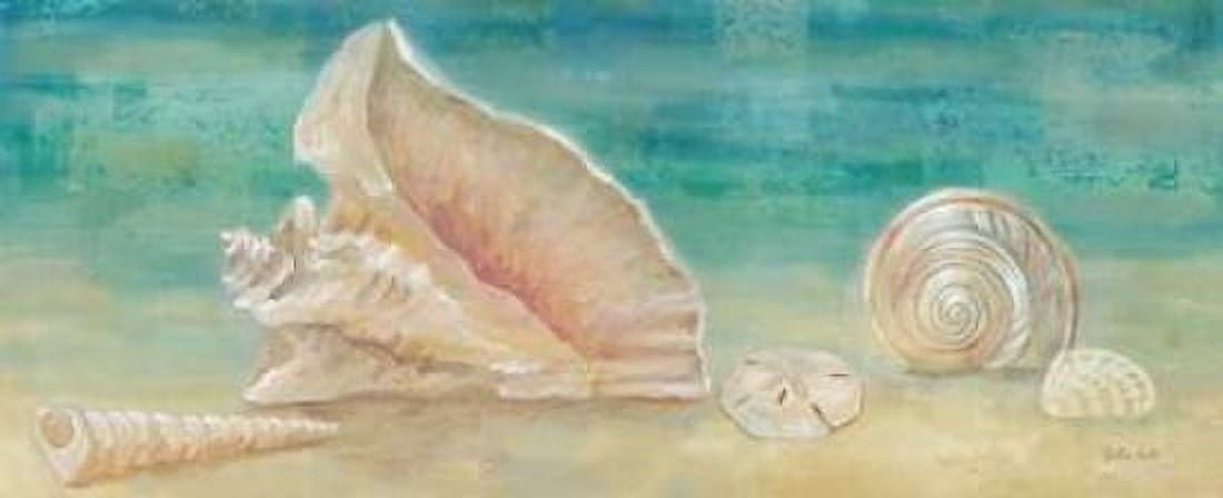 Horizon Shells Panel II Canvas Art - Cynthia Coulter (24 x 48)