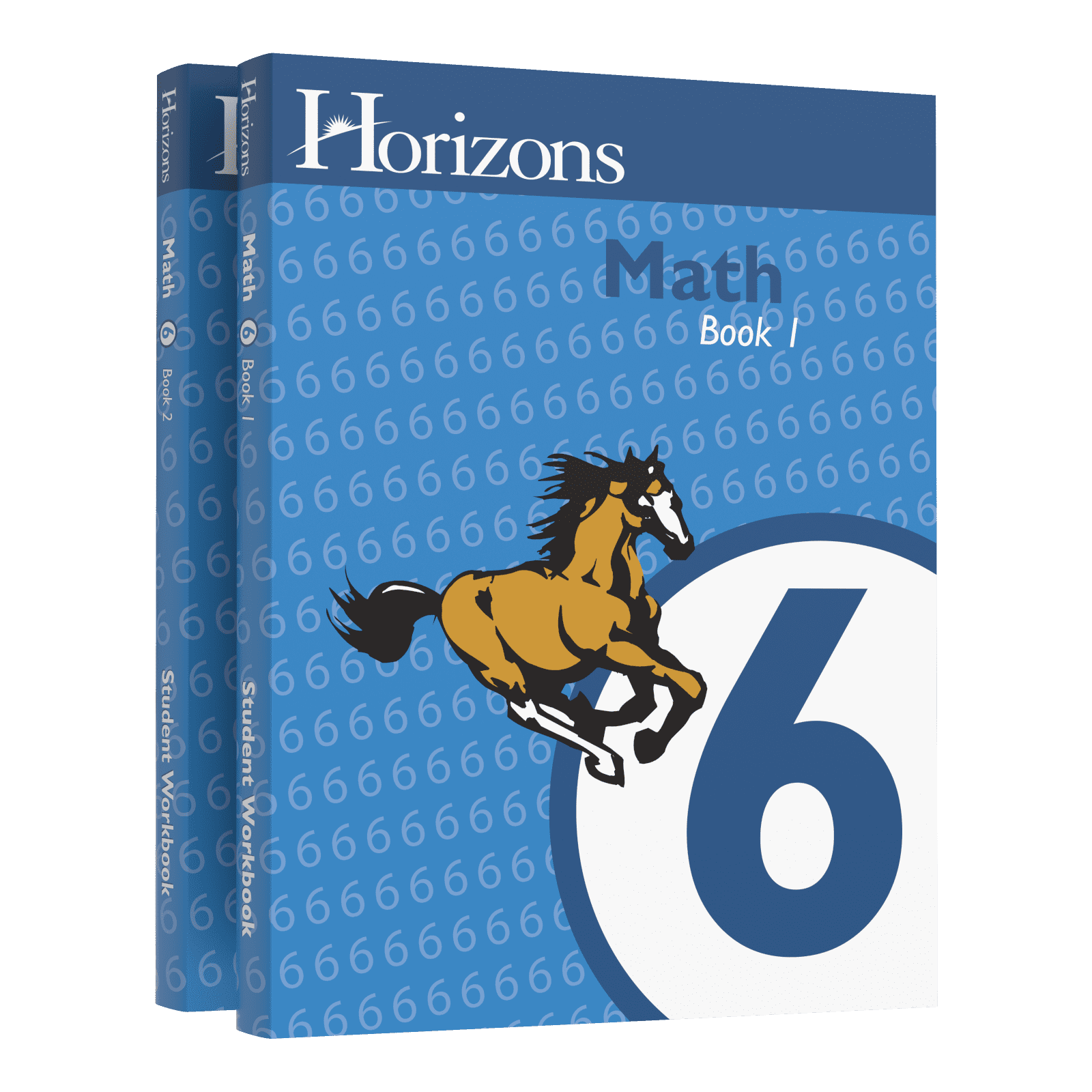 X Horizon Math Horizons Math 6th Grade 2 Student Workbooks 6-1 and 6-2 by Alpha Omega ...