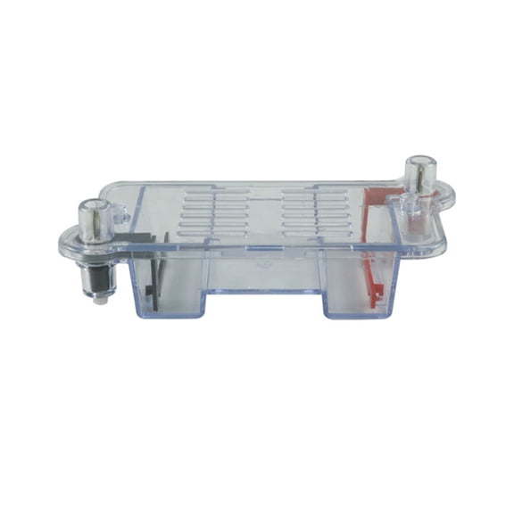 Horizontal Electrophoresis Tank Gel Experiment Biological Teaching Experimental Instrument Experimental Teaching Tool