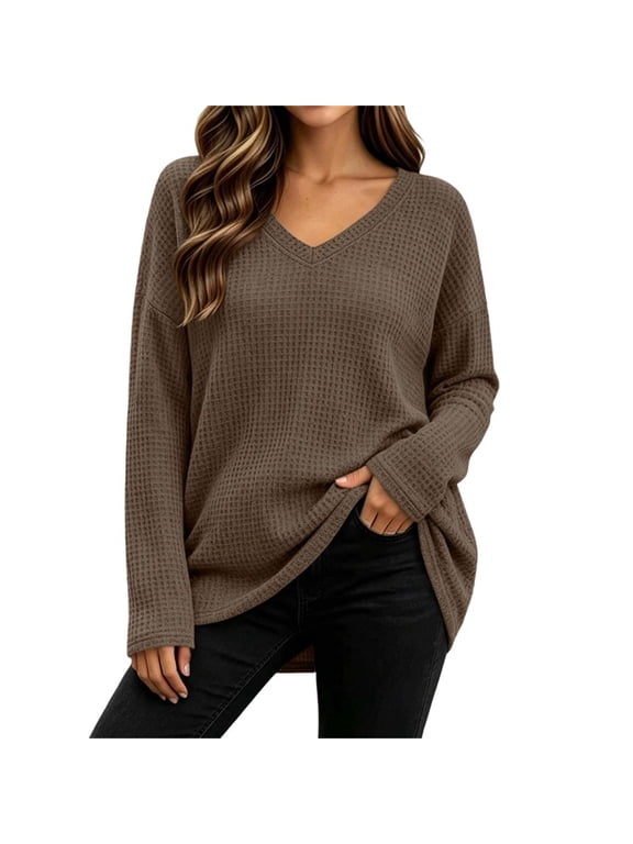 Womens Plus Size Tops Long Sleeve V Neck Solid Color Casual Tops Daily Loose Pullover Shirts, S-5XL