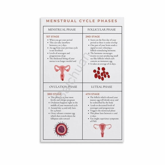 Hormones Of The Menstrual Cycle Poster Menstrual Cycle Guide (6) Canvas Painting Posters And Prints Wall Art for Living Room Bedroom Decor