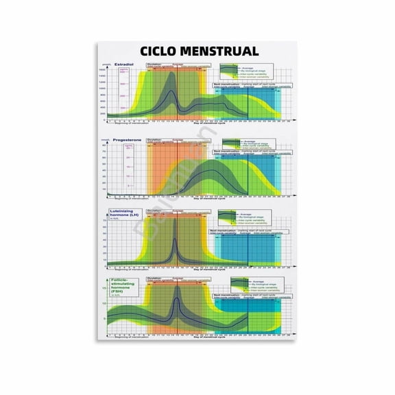Hormones Of The Menstrual Cycle Poster Menstrual Cycle Guide (8) Canvas Painting Wall Art Poster for Bedroom Living Room Decor
