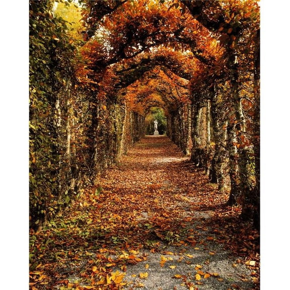 Hornbeam Alles Birr Castle Co Offaly Ireland Poster Print by The Irish Image Collection - 24 x 32 - Large