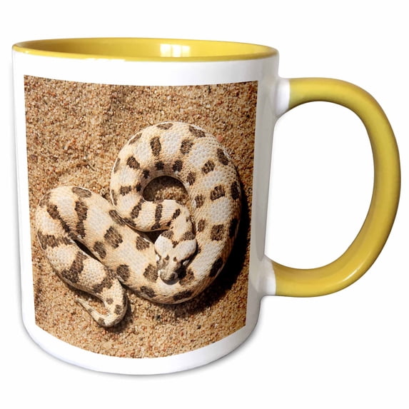 3drose, Horned Adder at the Living Desert Snake Park in Swakopmund, Namibia., 11oz Two-tone Yellow Mug