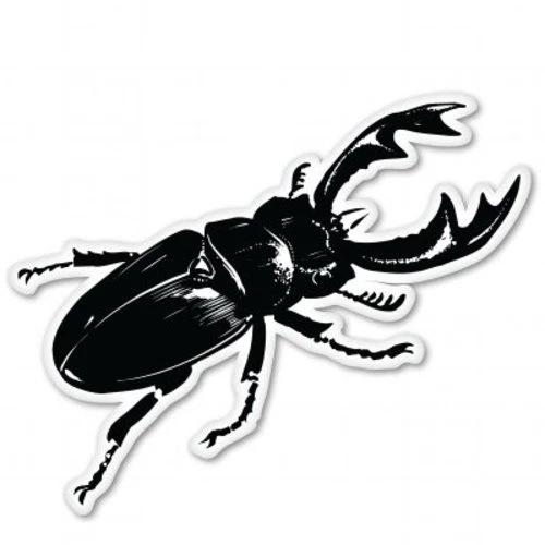 Horned Beetle Car Sticker Phone Decal Water Bottle Stickers Car Decals ...