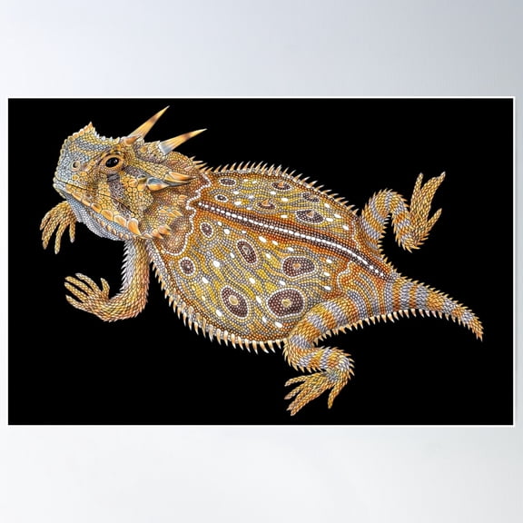 Horned Lizard Poster Wall Art, Modern Wall Decor For Living Room Bedroom, 8x12 UNFRAMED