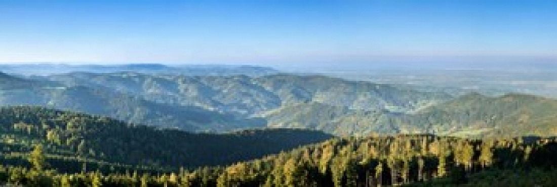 Hornisgrinde Mountain Black Forest Baden-Wurttemberg Germany Canvas Art - Panoramic Images (36 x 12)