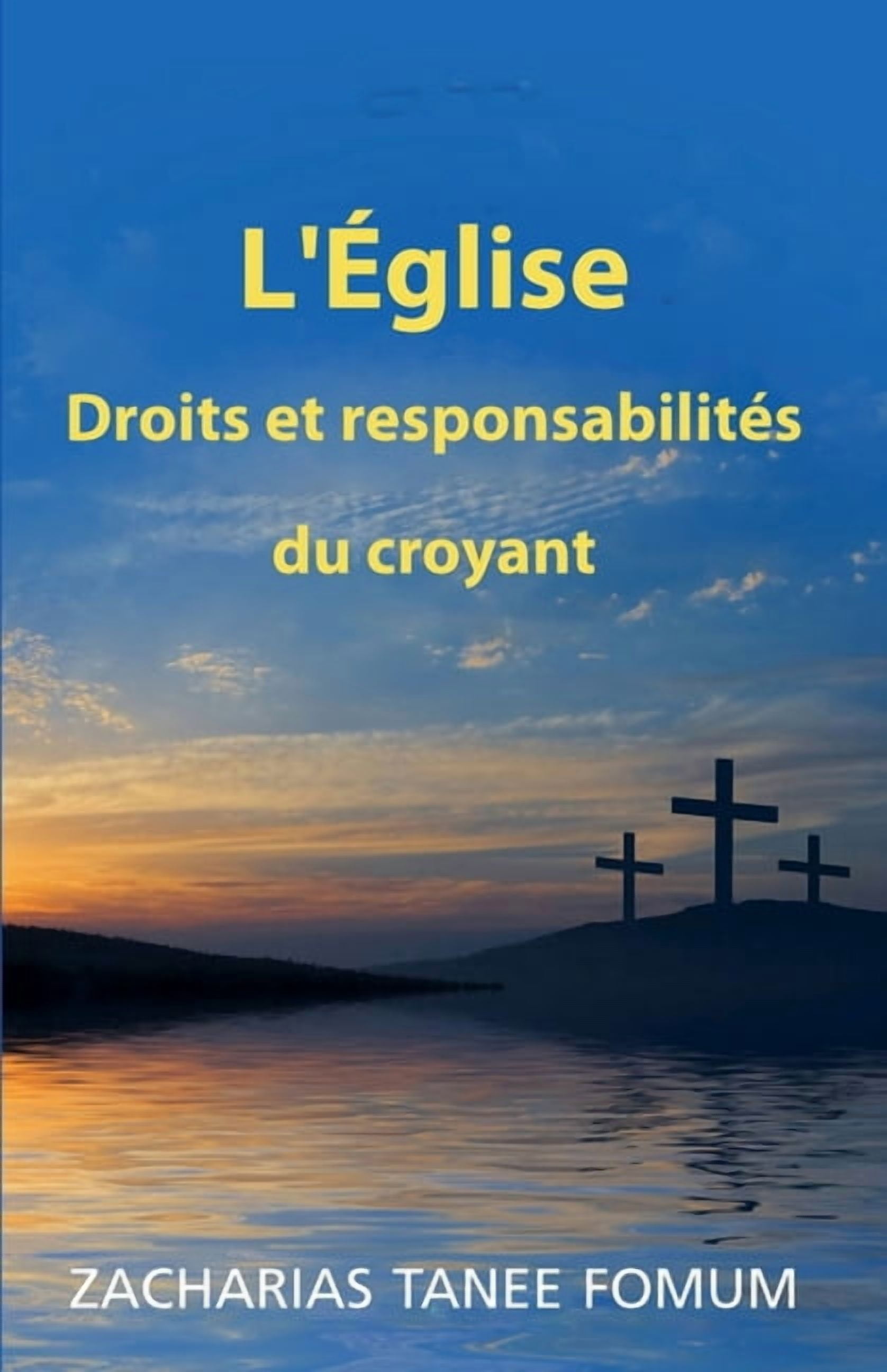 Hors-Série L'Église: Droits et responsabilités du croyant, Book 16, (Paperback)