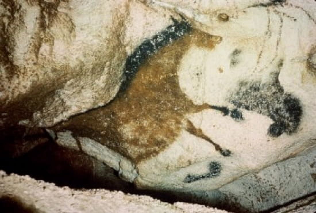 Horse 15000 BC Cave Painting Lascaux Caves France Canvas Art - (18 x 24)