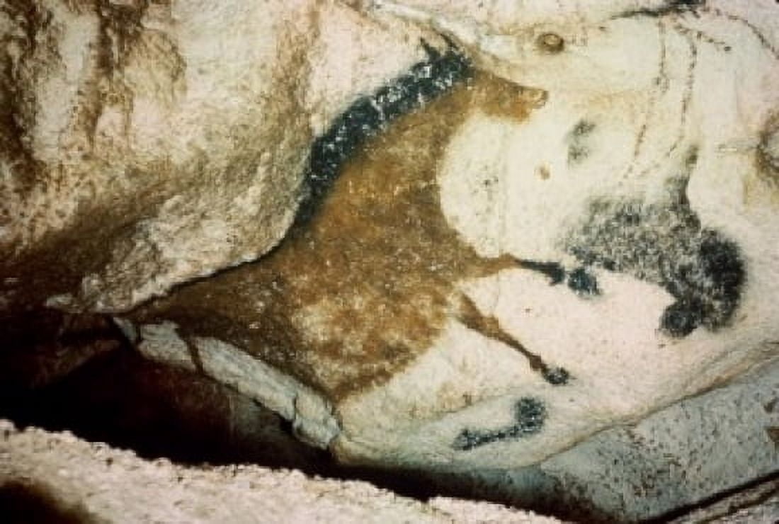 Horse 15000 BC Cave Painting Lascaux Caves France Canvas Art - (24 x 36)