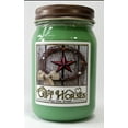Horse 2 All Natural Soy Wax Scented Candle Clean Burning, Long