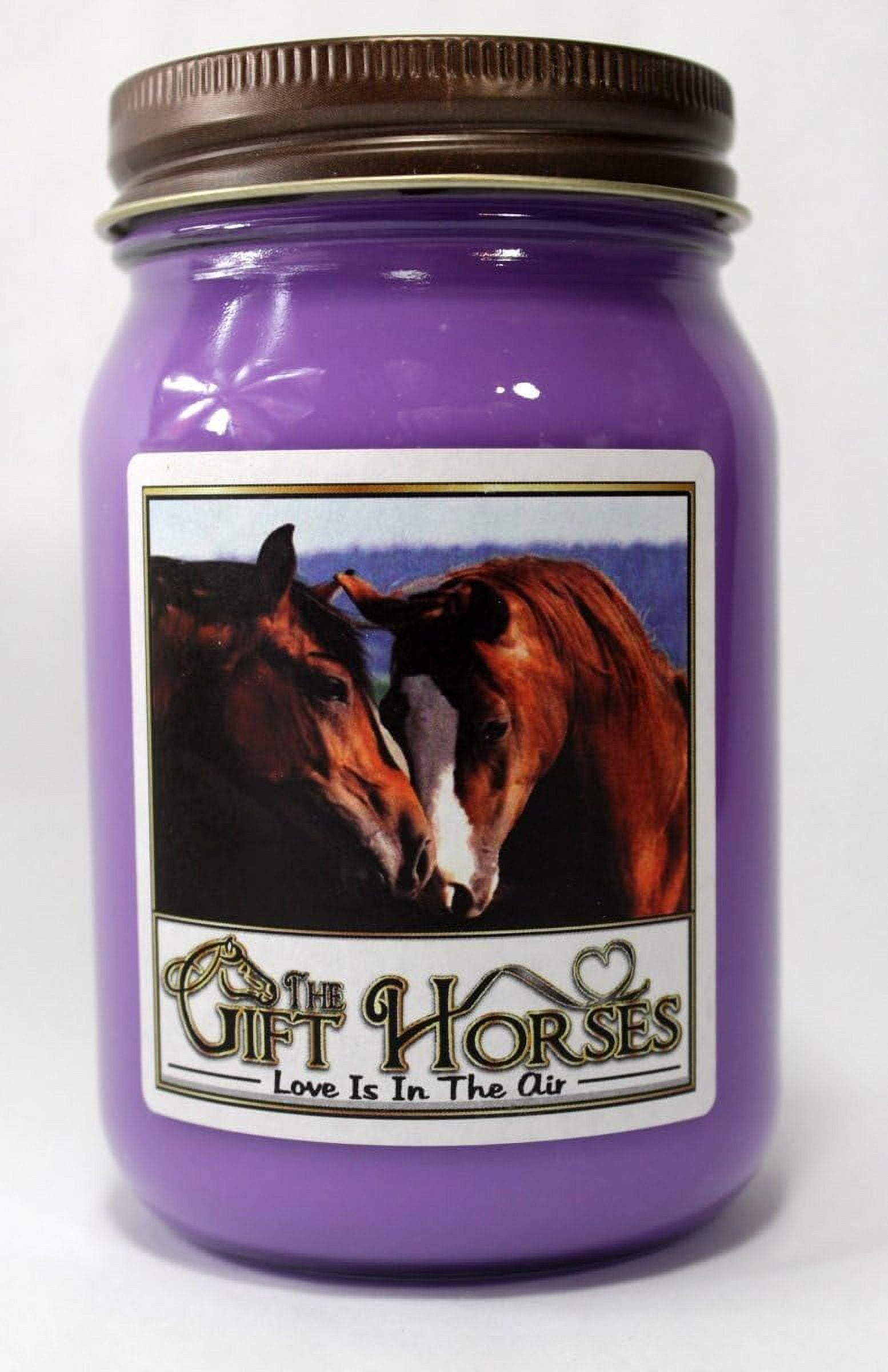 Horse 2 All Natural Soy Wax Scented Candle Clean Burning, Long