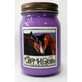 Horse 2 All Natural Soy Wax Scented Candle Clean Burning, Long
