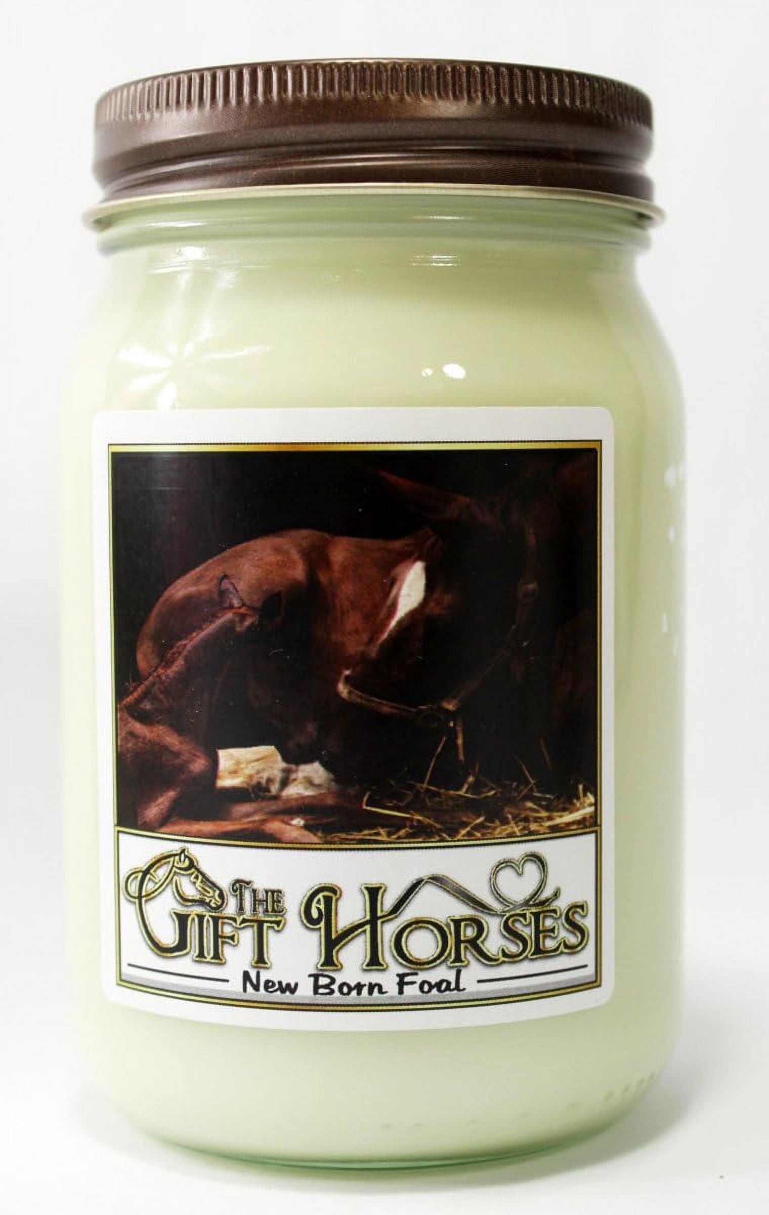 Horse 2 All Natural Soy Wax Scented Candle Clean Burning, Long