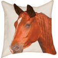 thumbnail image 1 of Horse 3D Applique Pillow 18 X 18, 1 of 1