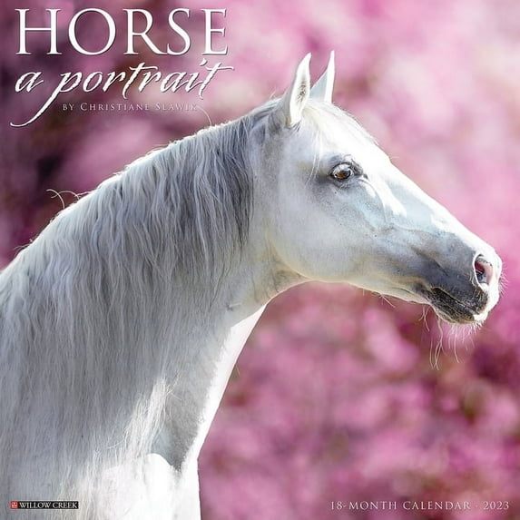 Horse: A Portrait 2023 Wall Calendar (Other)
