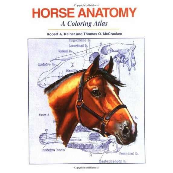 Pre-Owned Horse Anatomy: A Coloring Atlas, 2nd Edition, 9781577790211, 1577790219, Paperback, 2nd edition