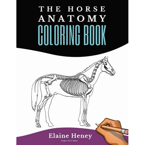 Horse Anatomy Coloring Book For Adults - Self Assessment Equine Coloring Workbook: Test Your Knowledge - For Equestrians, (Paperback)