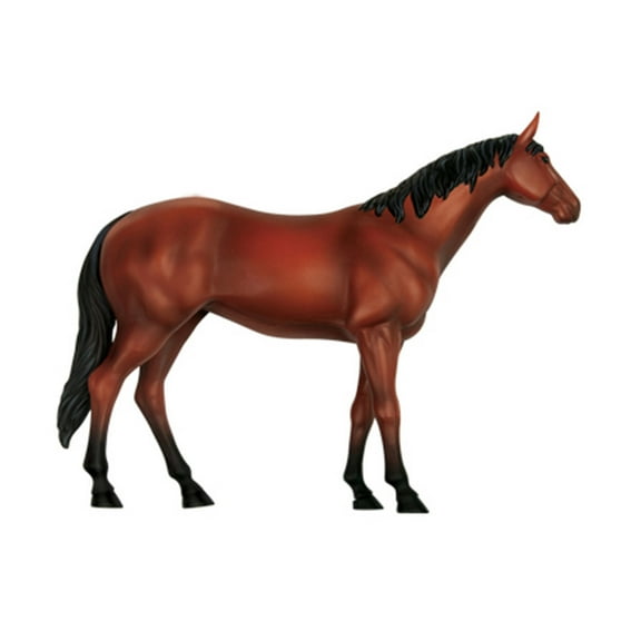 Horse Anatomy Model Teaching Toy for Kids, Educational Model with Detachable Horse Organs and Body Parts