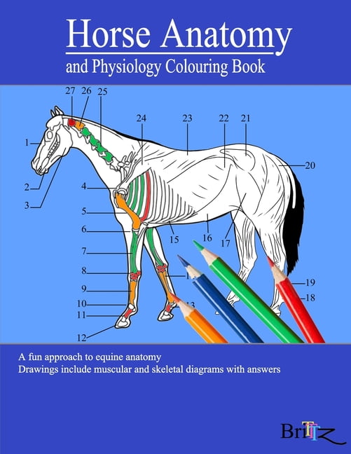 Horse Anatomy and Physiology Colouring Book A Detailed Guide to Equine