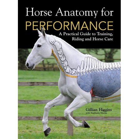 Horse Anatomy for Performance: A Practical Guide to Training, Riding and Horse Care, (Hardcover)