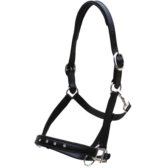 Horse Black Leather Padded Show Halter w/ Clear Rhinestones 805LH02BK-F