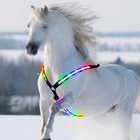 Horse Breastplate Collar Adjustable Halter Chest Harness LED Strap