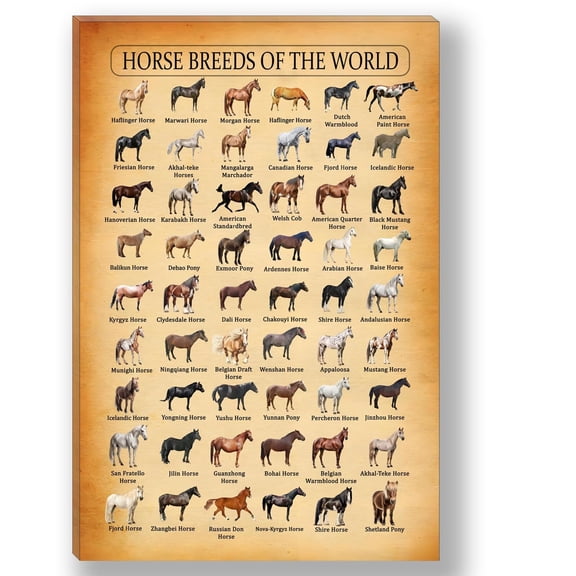 Horse Breeds in The World Wall Art,Types of Horses Wall Decor Canvas Poster for Living Room Bedroom Bathroom Dining Room Home Decoration