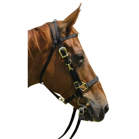Bridle Halter Combo #HB Color: Dark Brown
