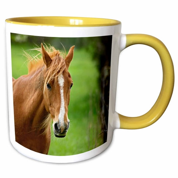 3drose, Horse, Cades Cove, Great Smoky Mountains Np, Tn - Us43 Aje0174 - Adam Jones, 11oz Two-tone Yellow Mug