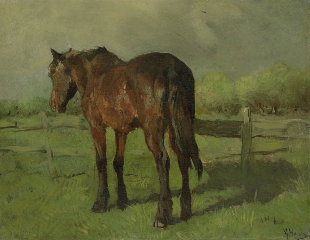 Horse Canvas Art - (36 x 24)