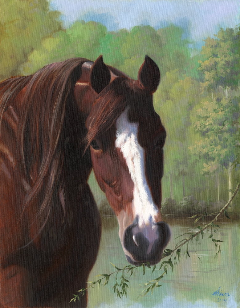 Horse Canvas Art - Shiva (16 x 20)