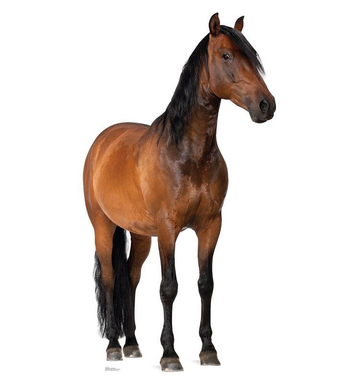 Life-Size Brown Horse Cardboard Standup with Easel