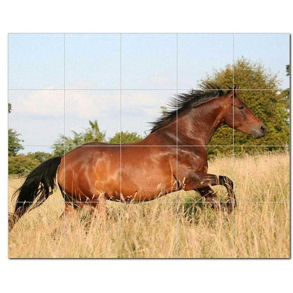 Horse Ceramic Tile Mural Kitchen Backsplash Bathroom Shower, 402842-M54