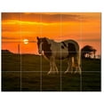 thumbnail image 1 of Horse Ceramic Tile Mural Kitchen Backsplash Bathroom Shower, 402846-XL54, 1 of 3
