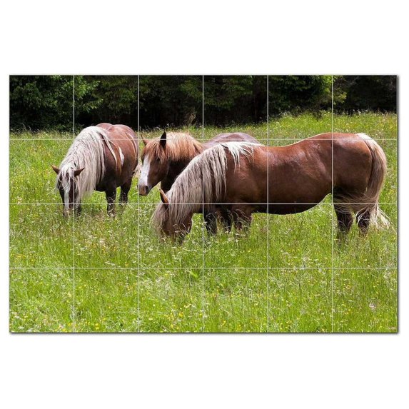 Horse Ceramic Tile Mural Kitchen Backsplash Bathroom Shower, 402860-M64