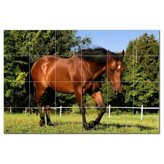 Horse Ceramic Tile Mural Kitchen Backsplash Bathroom Shower, 402861-M64