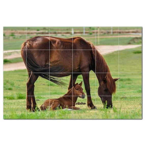 Horse Ceramic Tile Mural Kitchen Backsplash Bathroom Shower, 402869-M64