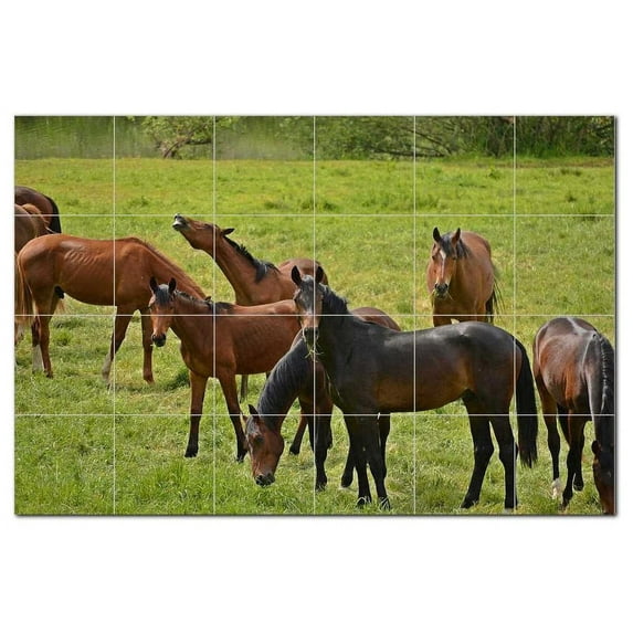 Horse Ceramic Tile Mural Kitchen Backsplash Bathroom Shower, 402892-S64