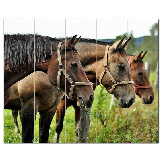 Horse Ceramic Tile Mural Kitchen Backsplash Bathroom Shower, 402904-S54