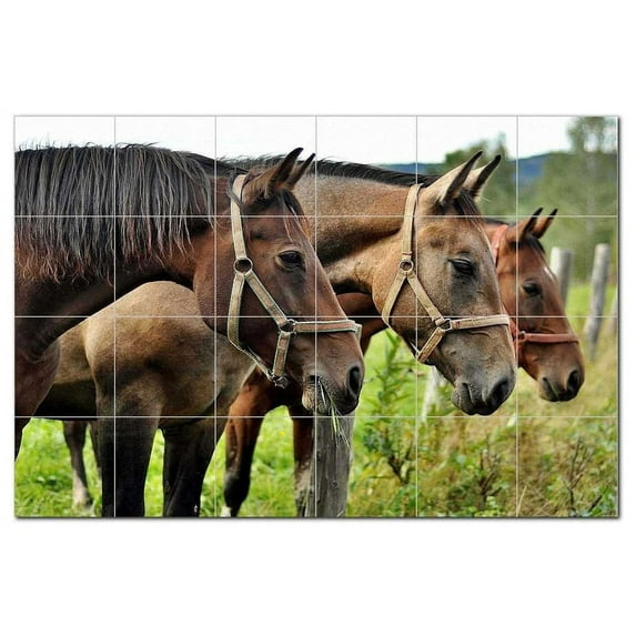 Horse Ceramic Tile Mural Kitchen Backsplash Bathroom Shower, 402904-S64