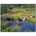 thumbnail image 1 of Horse Ceramic Tile Mural Kitchen Backsplash Bathroom Shower, 402907-XL54, 1 of 3